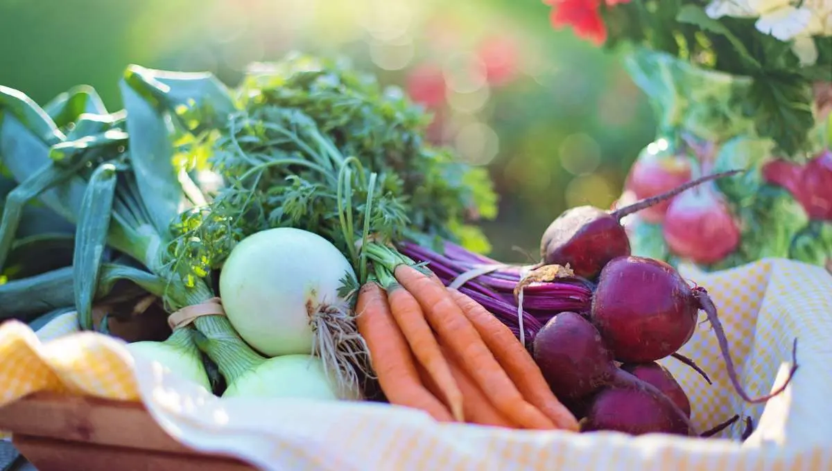 Different colored vegetables